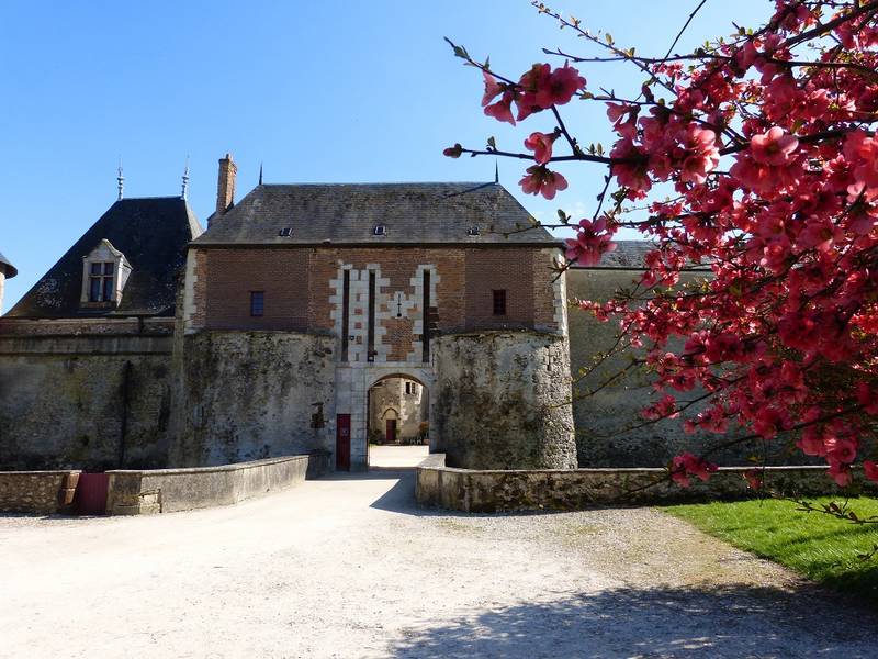 Chateau_Angillon.jpg